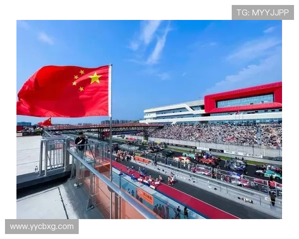 成都乒乓球队耐力争议引发热议球迷与专家各执己见